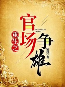 重生之官场平步青云