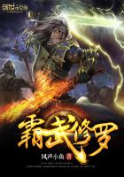 霸道总裁小说